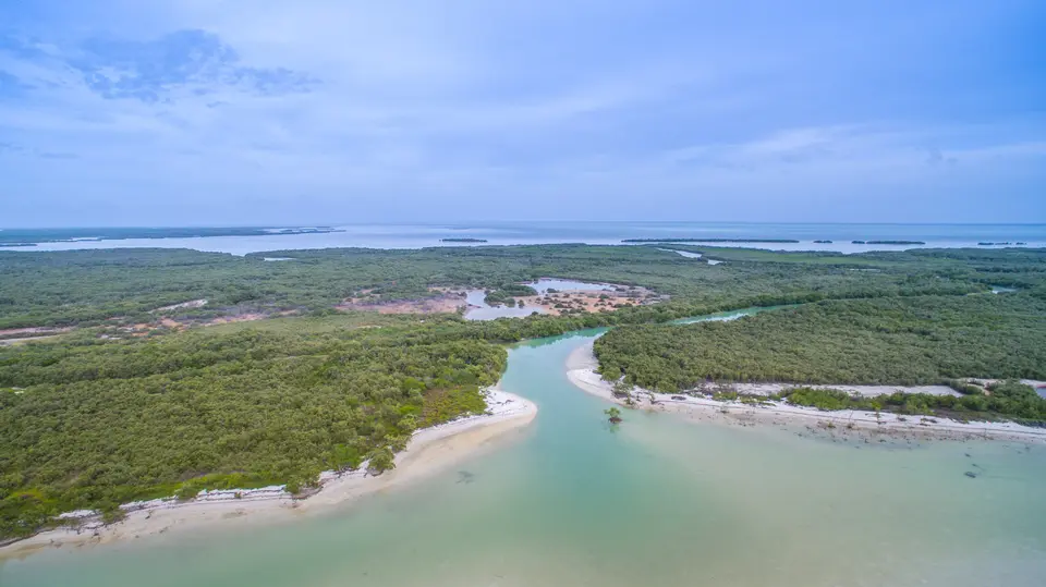 Manglares y canales de la laguna de Holbox vistos desde el aire